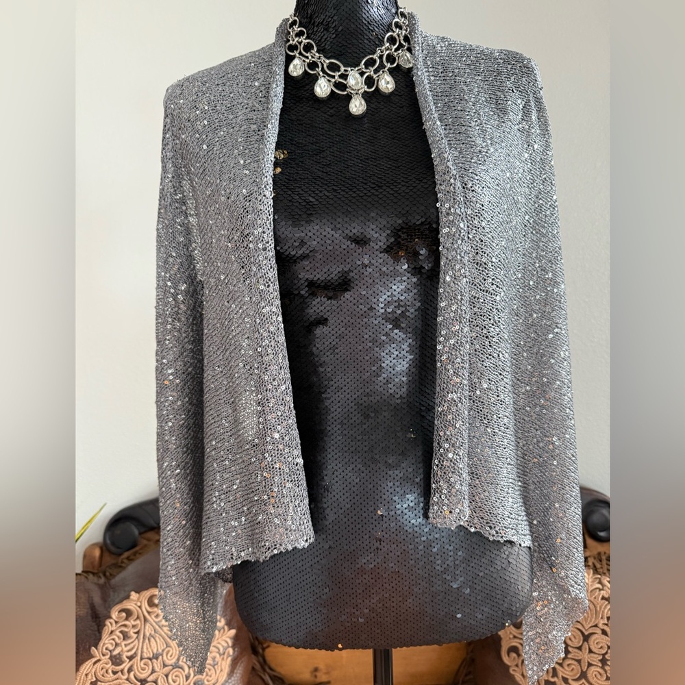 BKE Knit Silver Cardigan With Sequins Size M NWT